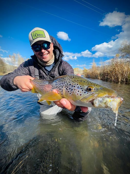Truckee River Fly Fishing Report November 19 2024