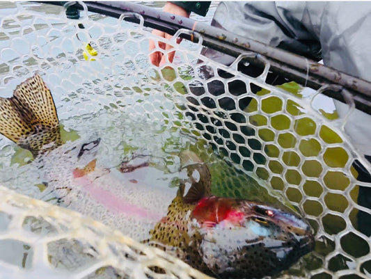 Truckee River Fly Fishing Report March 26 2025