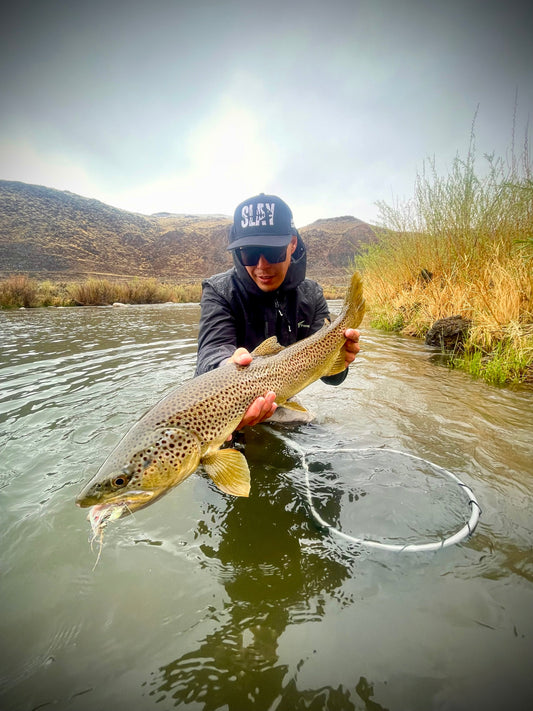 Truckee River Fly Fishing Report April 28 2025