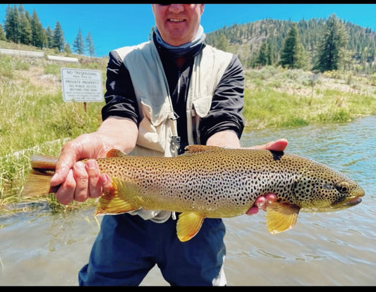 Truckee River Fly Fishing Report May 25 2025