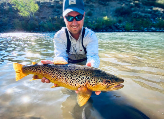 Truckee River Fly Fishing Report September 25 2025