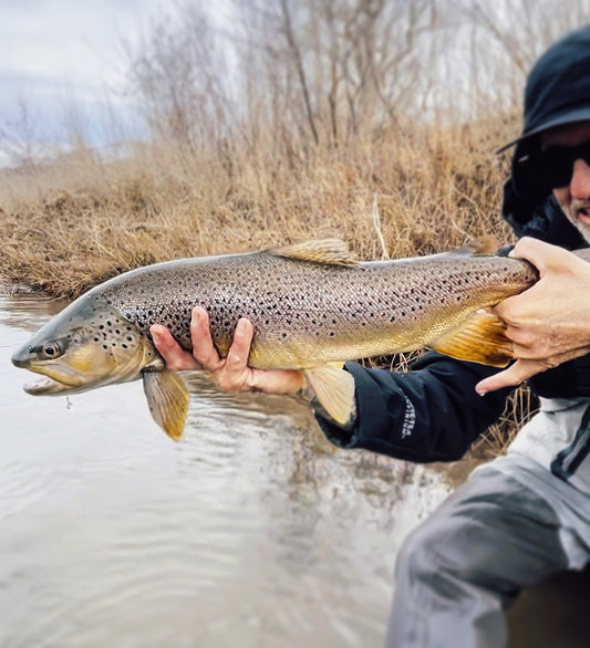 Lower Truckee River