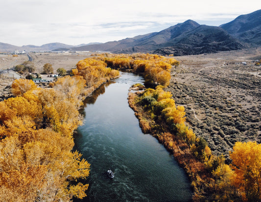 Truckee River Fly Fishing Report October 31 2022