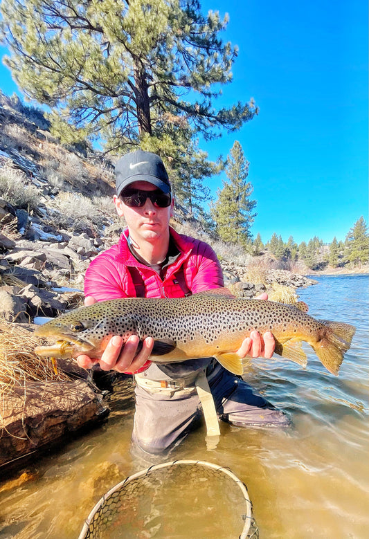 Truckee River Fly Fishing Report January 20 2025