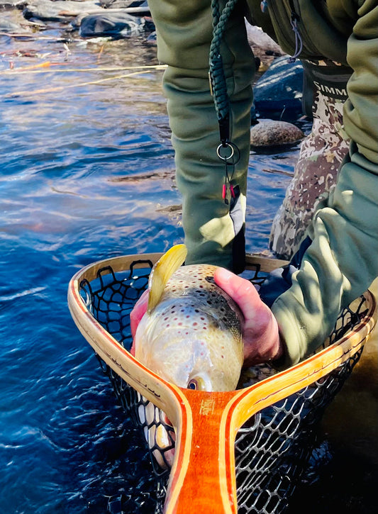 Truckee River Fly Fishing Report February 16 2026