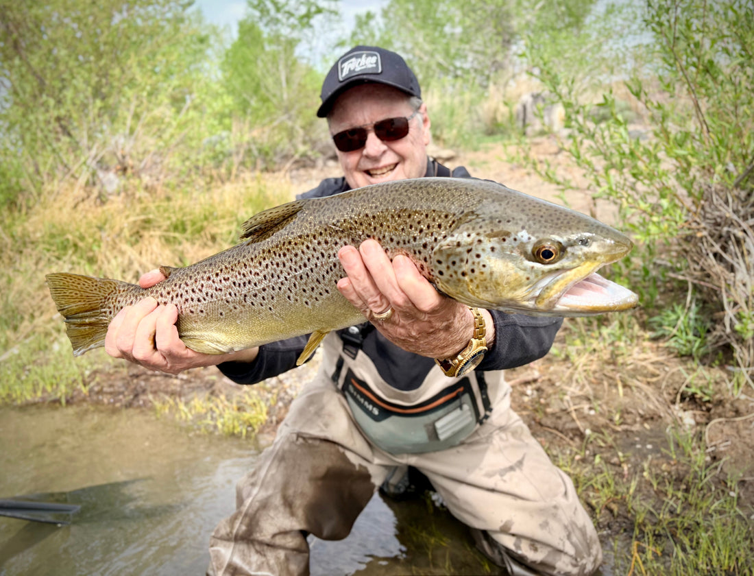 Truckee River Fishing Report April 11 2026