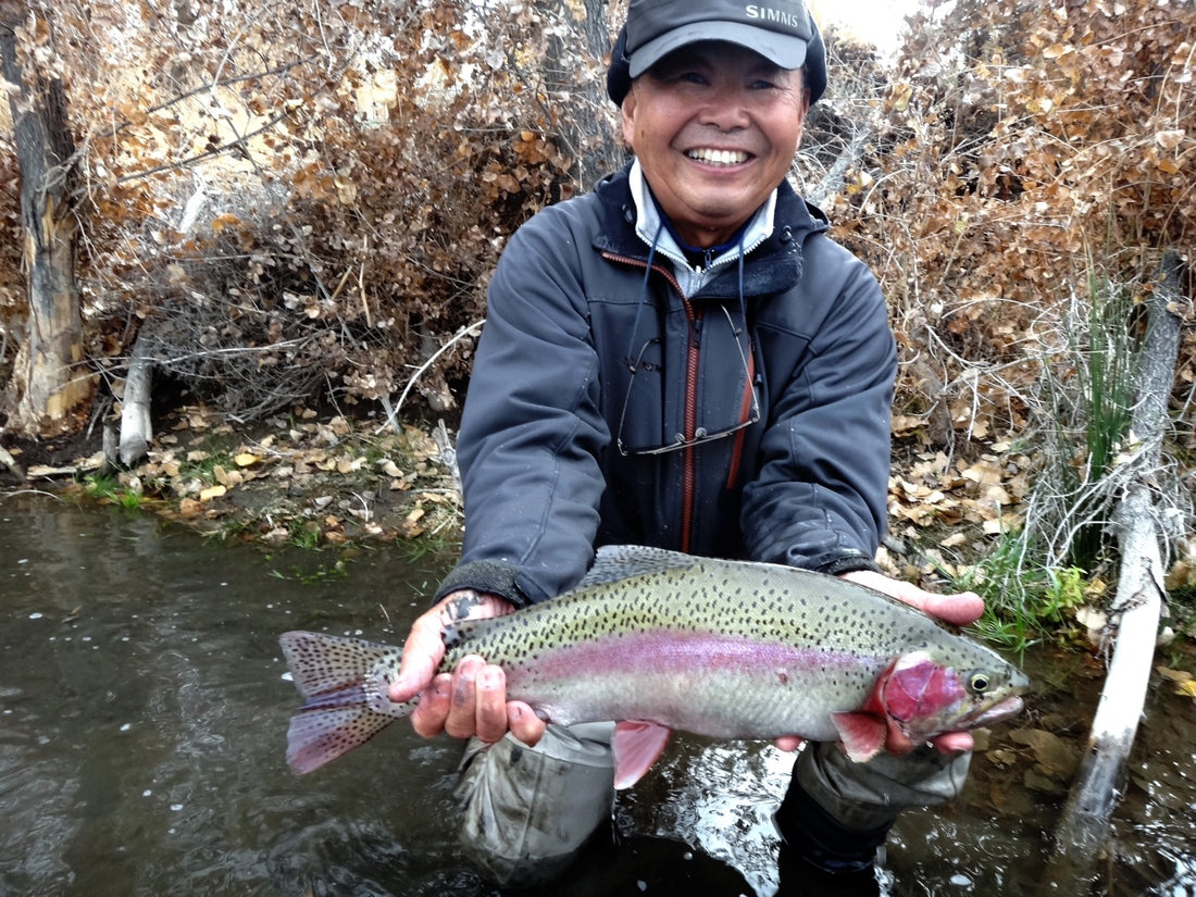 Truckee River Fishing Report 11/24/13