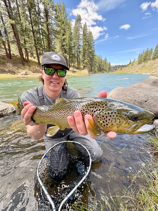 Truckee River Fly Fishing Report May 24 2026