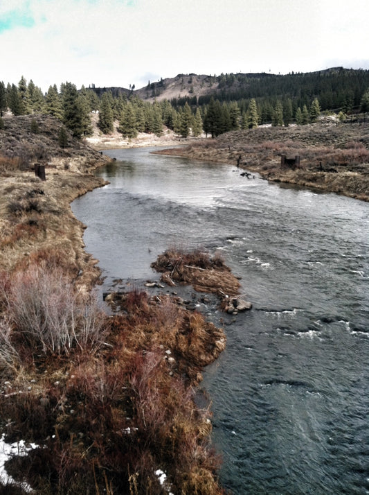 Truckee River Fishing Report 2/10/14