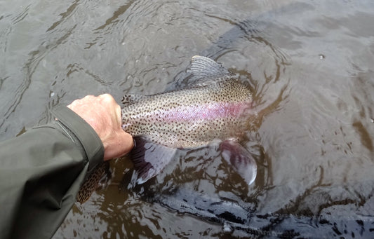 New Site-Truckee River Fishing Report 2-15-14