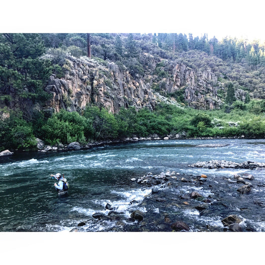 Truckee River Fly Fishing