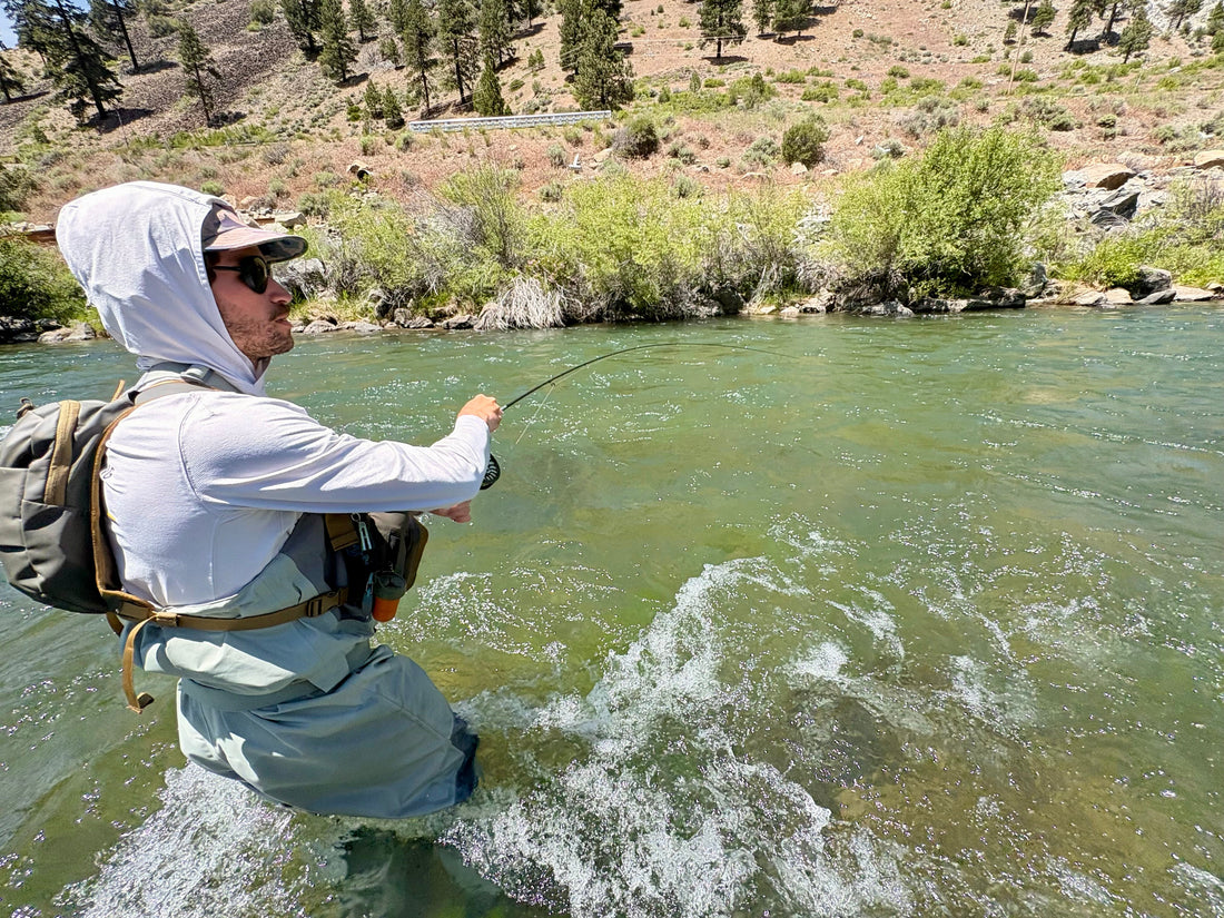 Truckee River Fly Fishing Report June 4 2026