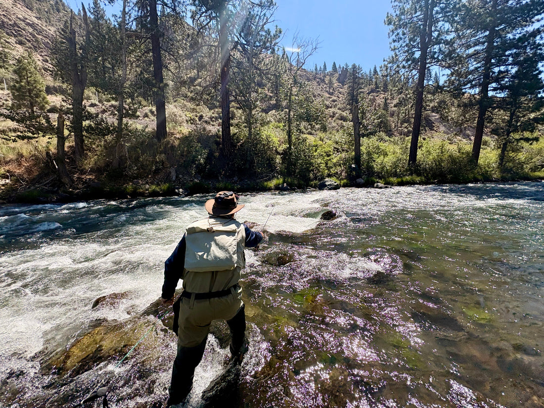 Truckee River Fly Fishing Report July 2 2026