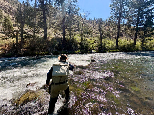Truckee River Fly Fishing Report July 2 2026