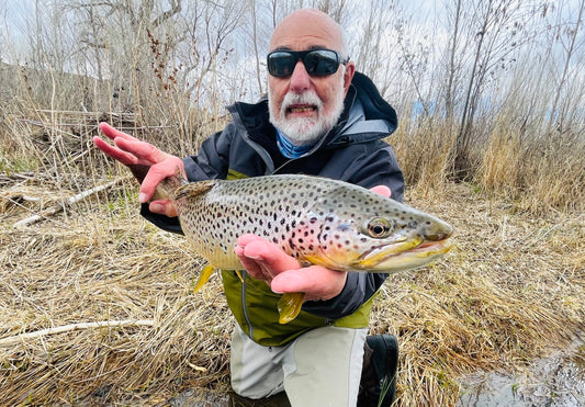 Brown Trout Truckee River Nevada