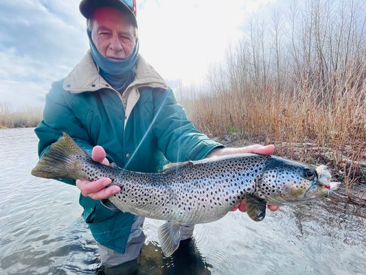 Truckee River Fly Fishing Report December 15 2024