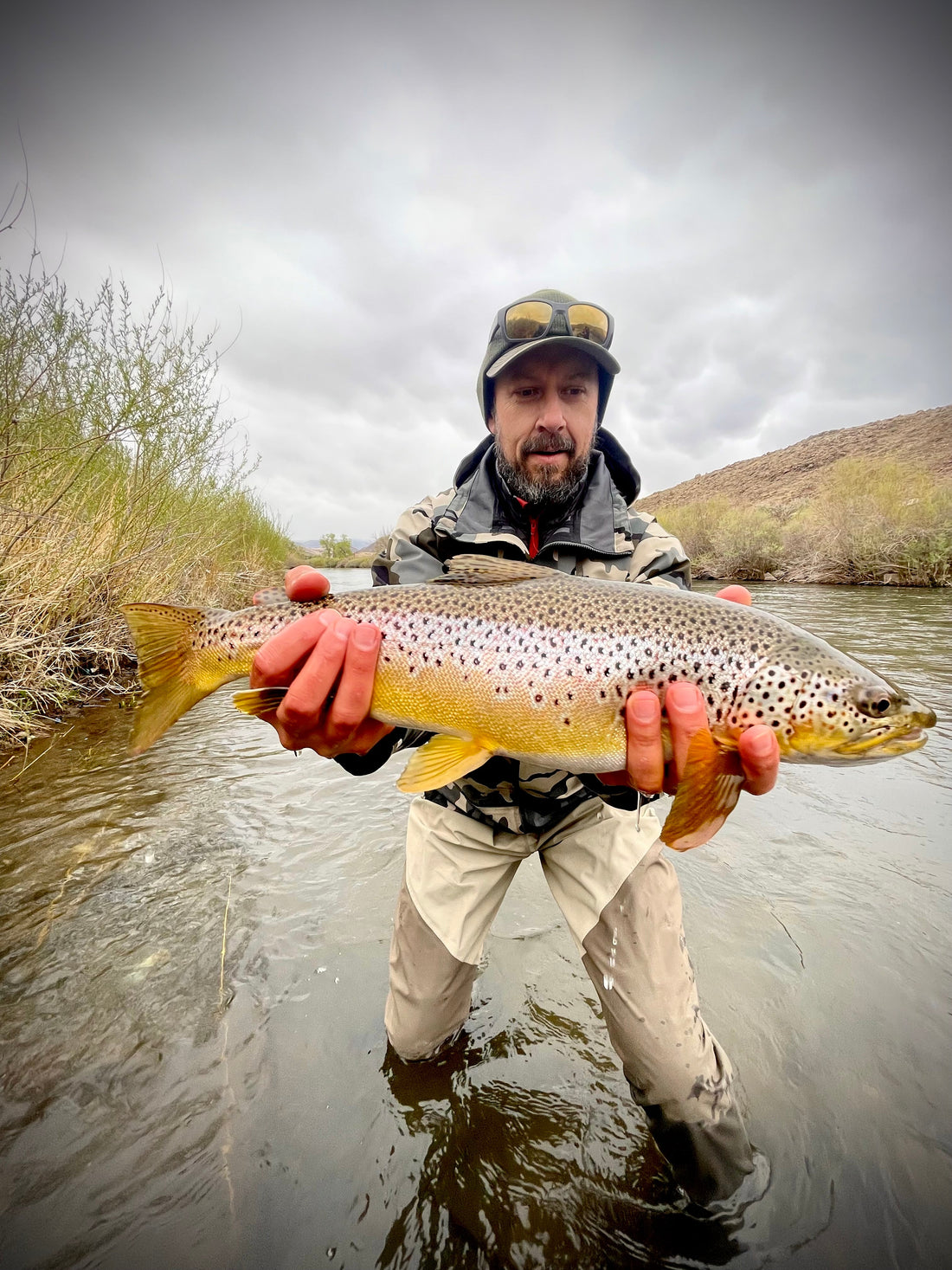 Truckee River Fly Fishing Report May 20 2025