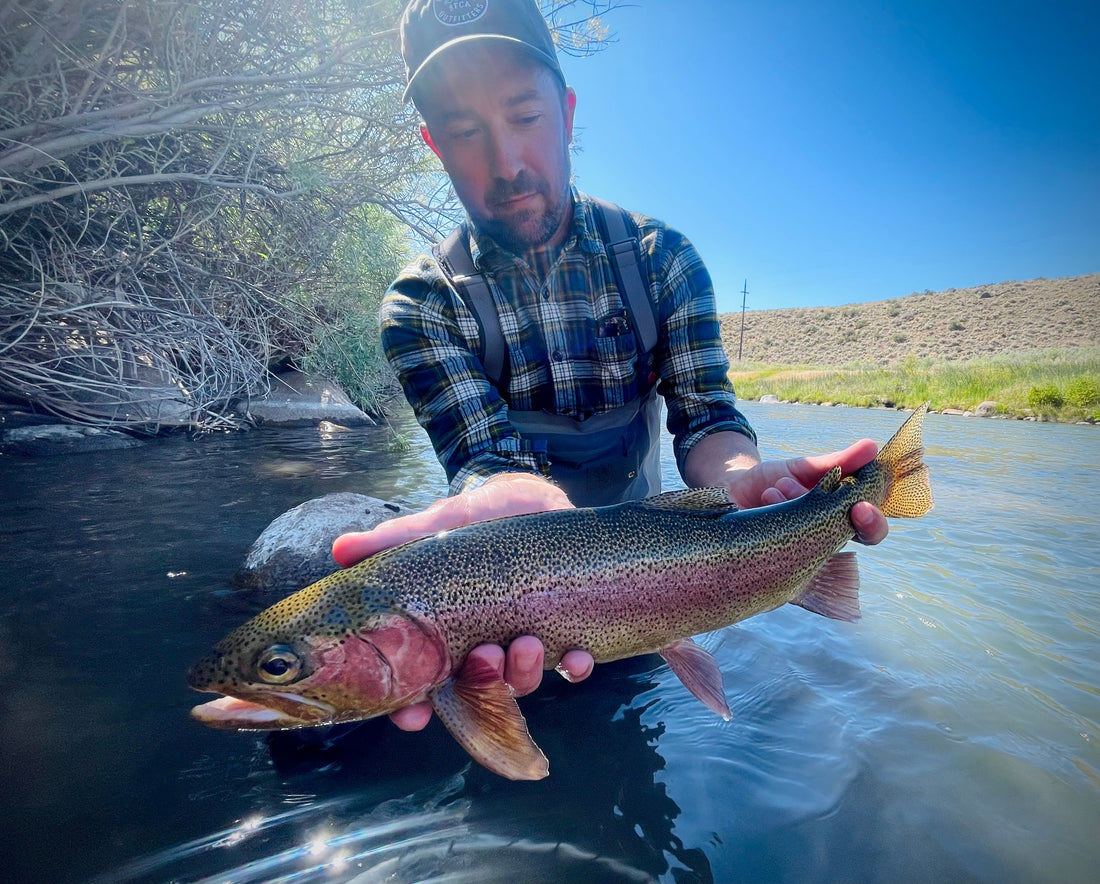 Truckee River Fly Fishing Report July 27 2025