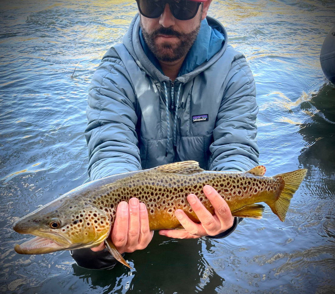 Truckee River Fly Fishing Report November 16 2025