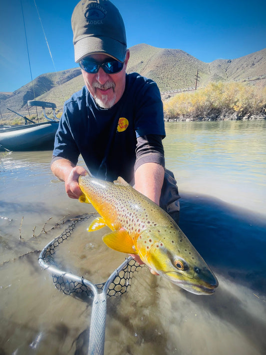 Truckee River Fly Fishing Report November 2 2025