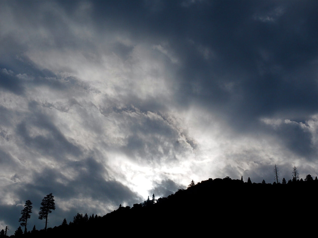 Truckee River Fishing Report 7-8-14