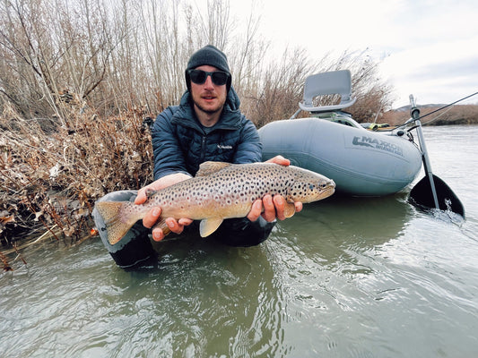 Nevada Truckee River Brown Trout