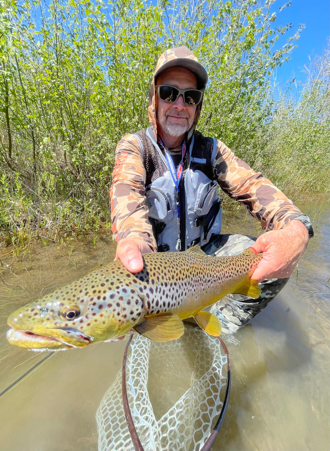 Brown Trout Truckee River