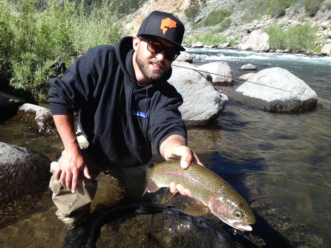 Truckee River Fishing Report 6-14-14