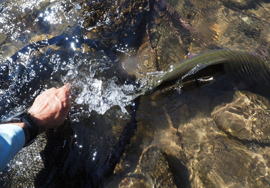 Truckee River Fishing Report 7-4-14