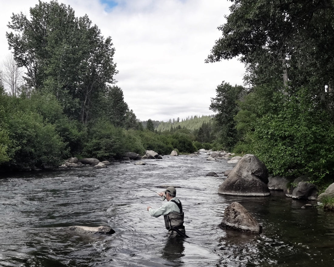 Fly Fishing The Truckee River