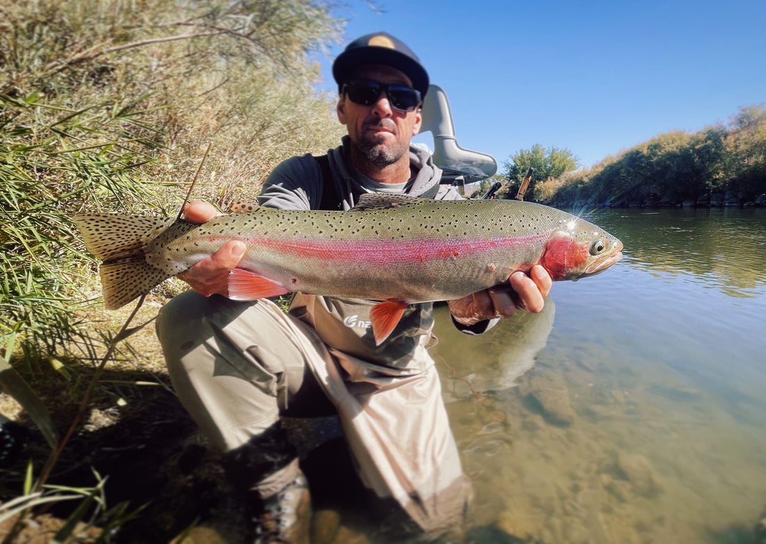 Truckee River Fly Fishing Report