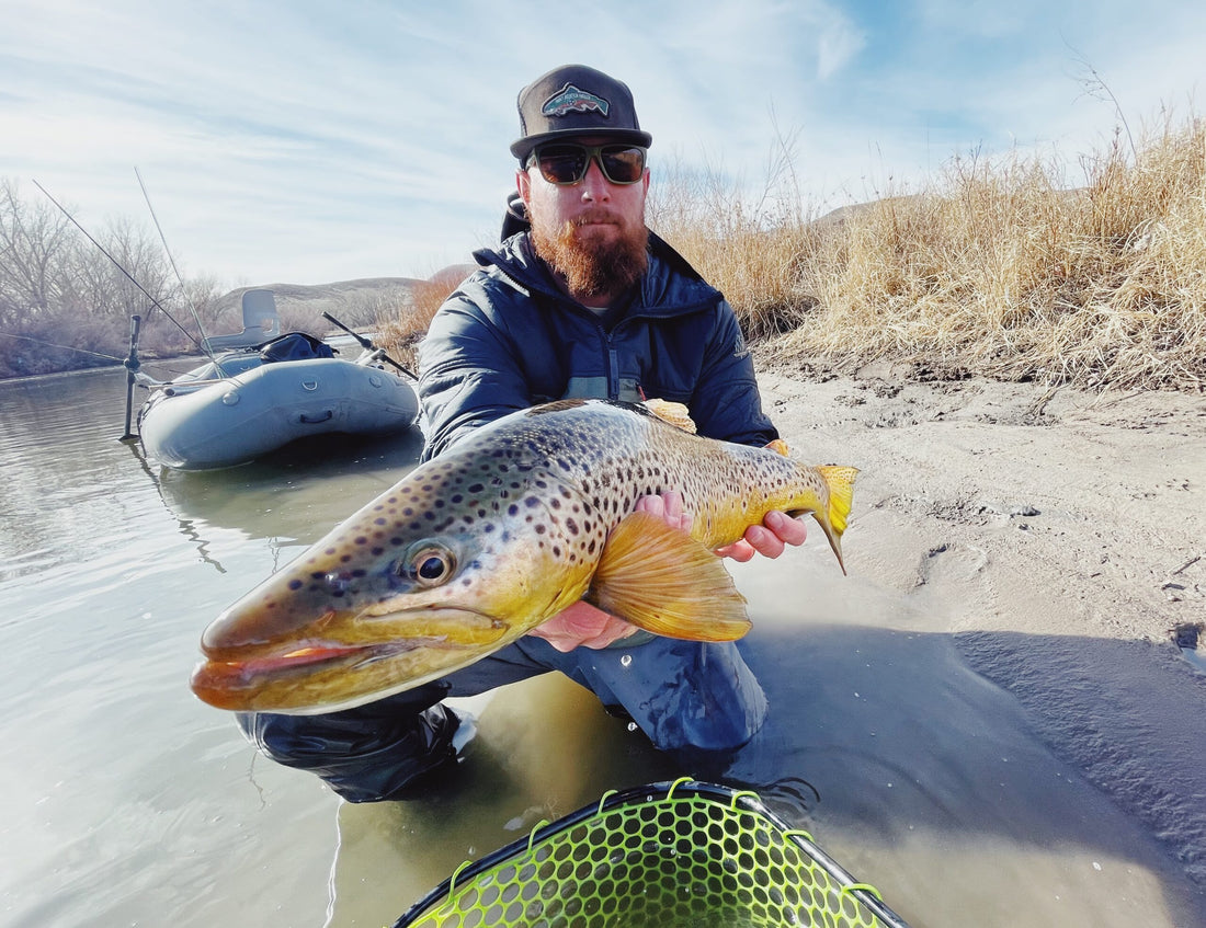 Dry Fly Brown