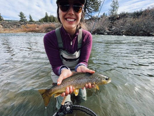 Brown Trout Hirschdale Ca