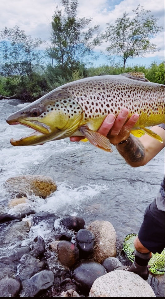 Fly fishing mogul Nevada