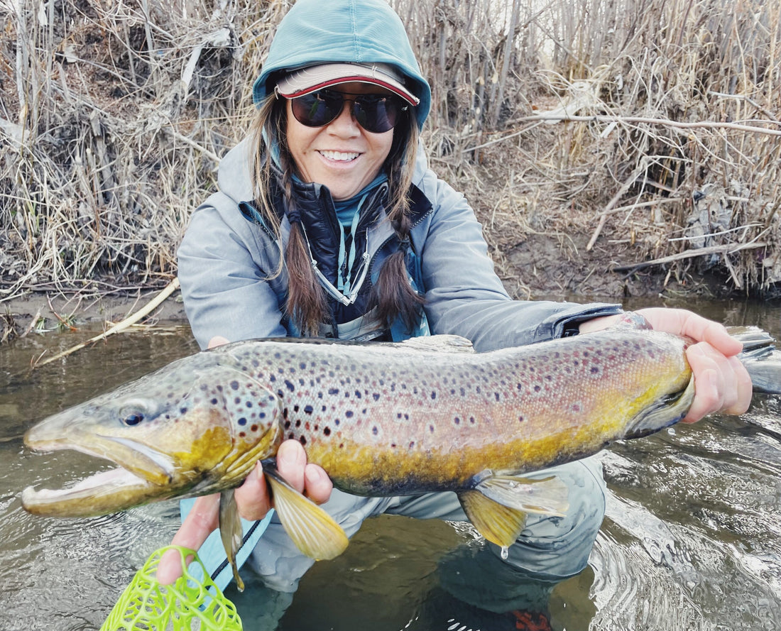 Truckee River Fly Fishing Report January 6 2024