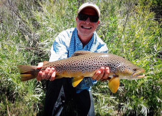 Reno Brown Trout Truckee River