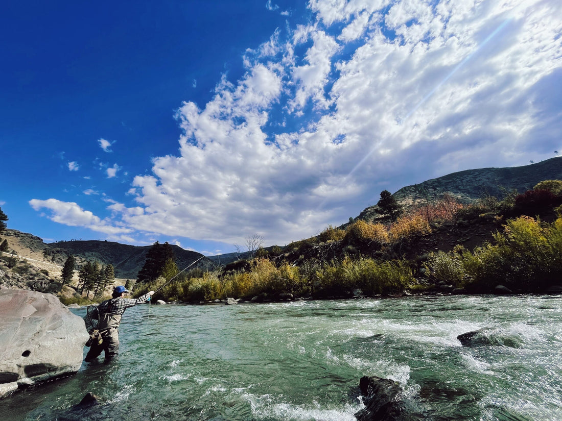 High Sticking Truckee River