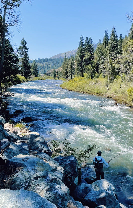 Truckee River Fly Fishing Report July 4 2023