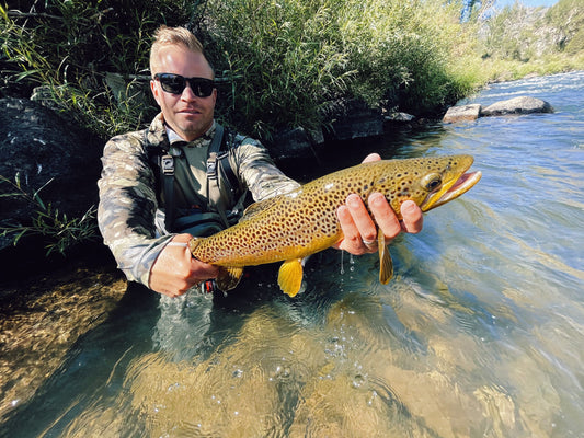 Euro Nymphing Truckee River