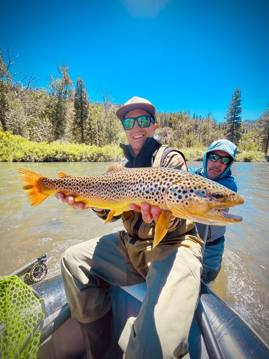 Truckee River Fly Fishing Report June 18 2024