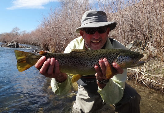 Truckee River Nevada