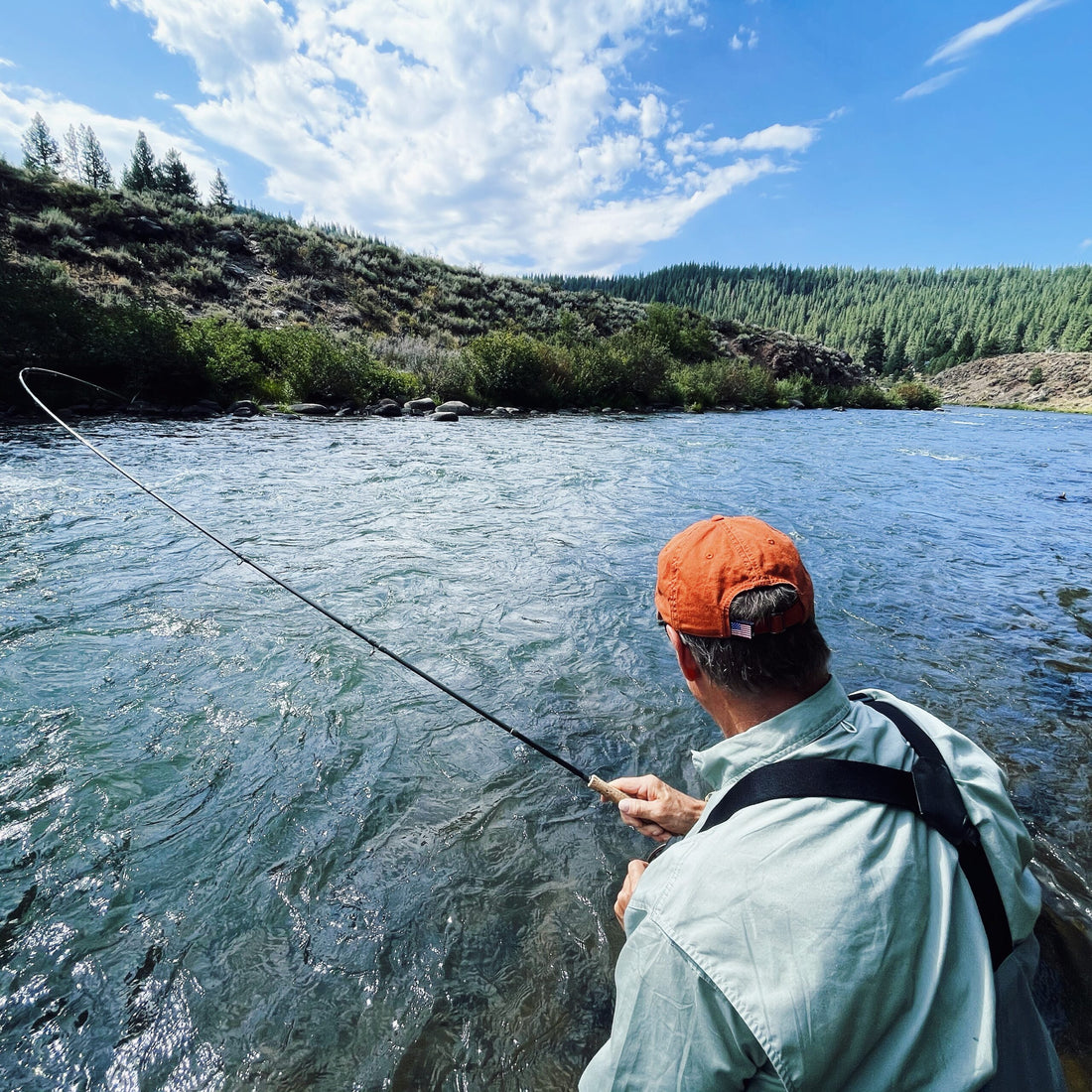 Hirschale Truckee River