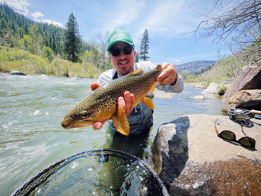 Truckee River Brown Trout Euro Nymphing