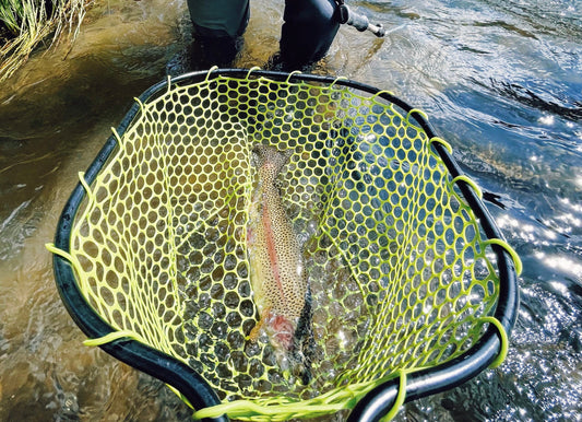 Truckee River Fly Fishing Report August 17 2022