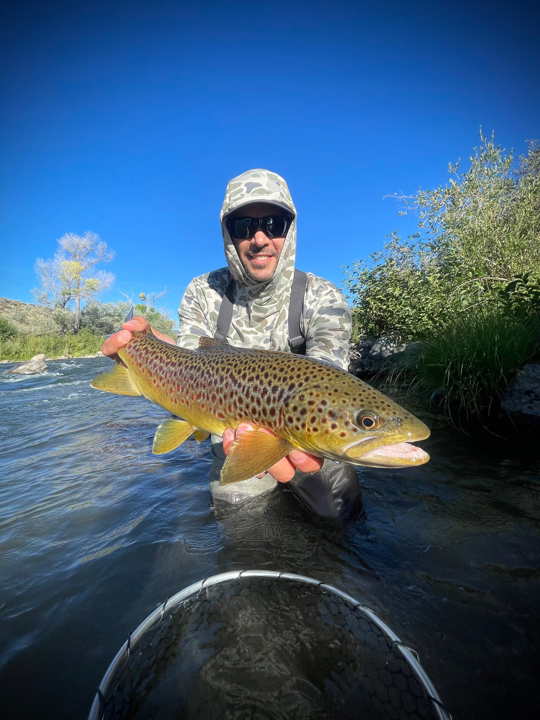 Truckee River Fly Fishing Report August 18 2024