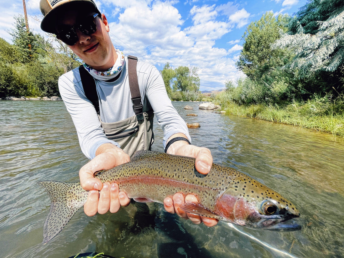 Truckee River Fishing Reports