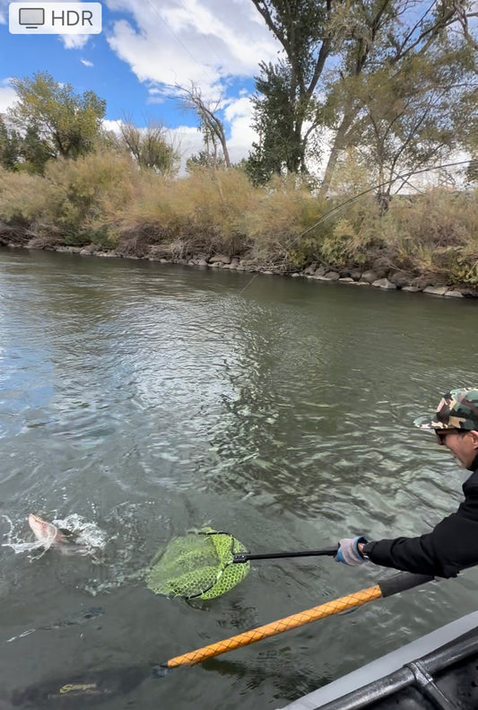 Truckee River Fly Fishing Report November 7 2023