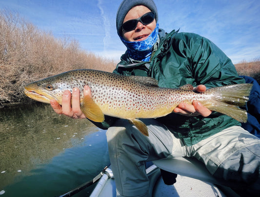 Truckee River Fly Fishing Report February 6 2023