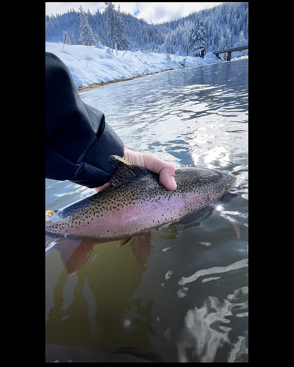 Winter bow Truckee River