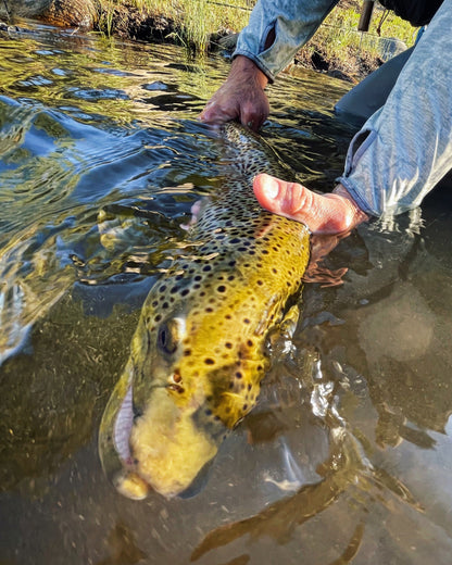 Guided Fly Fishing Trip
